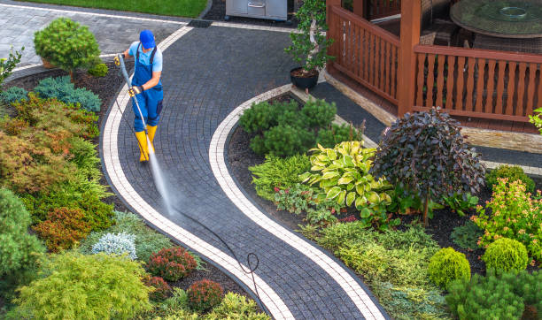 Best Residential Pressure Washing Services  in Abingdon, IL